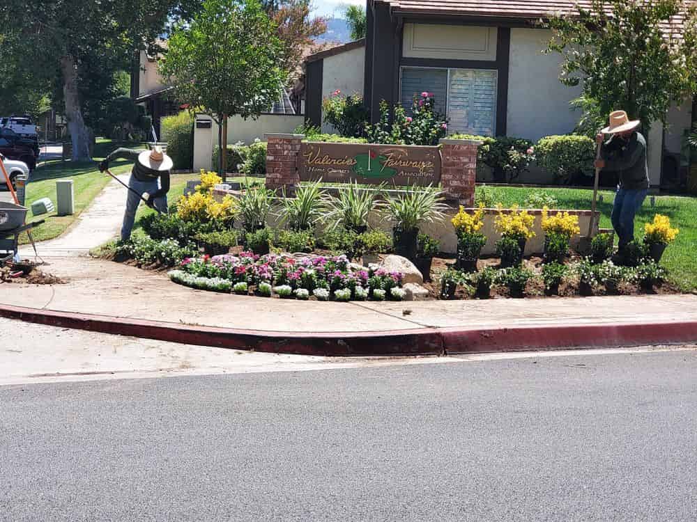 Xeriscape image