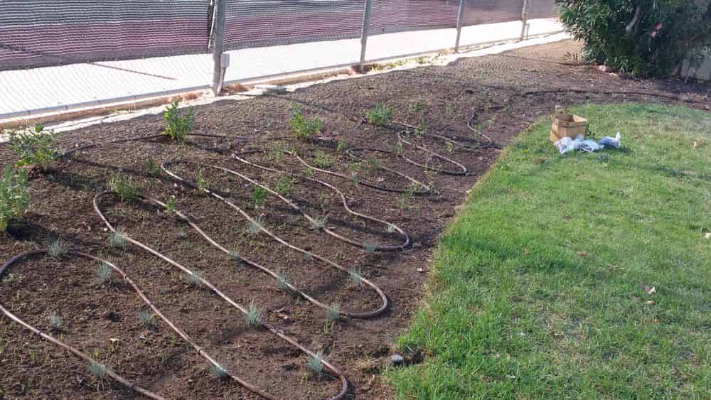 Irrigation Installation image