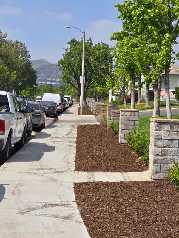 Eco-Friendly Landscaping in Santa Clarita