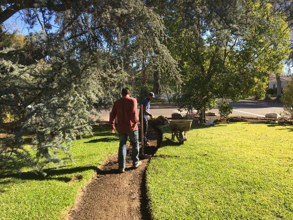 A Legacy of Excellence in Landscaping
