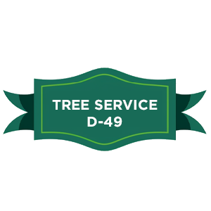 Tree Service Company with D-49 License Clasification in Los Angeles