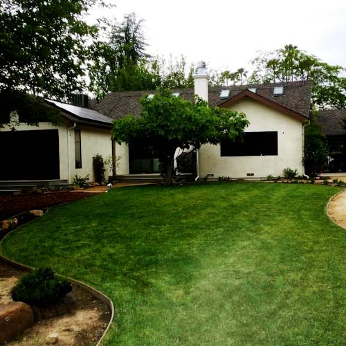 Landscaping in Los Angeles