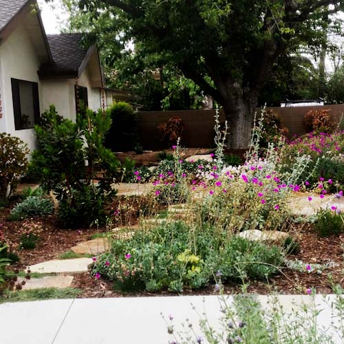 Landscaping in Los Angeles