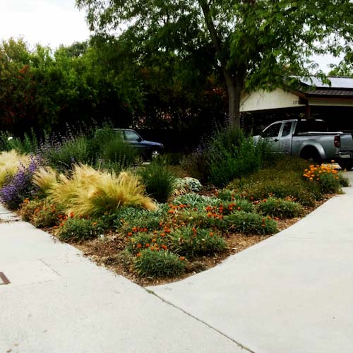 Landscaping in Los Angeles