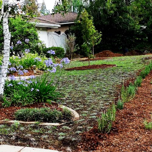 Landscaping in Los Angeles