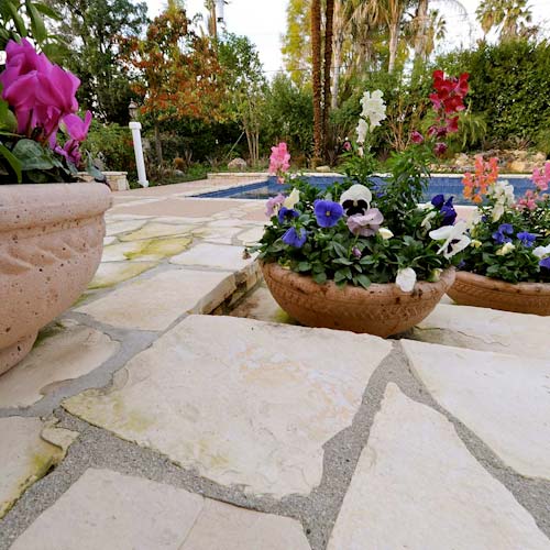 Landscaping in Los Angeles