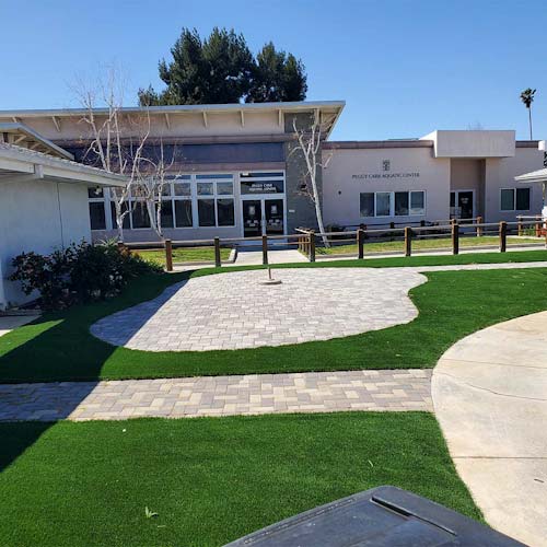 Synthetic turf in Los Angeles